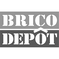 logo bricodepot